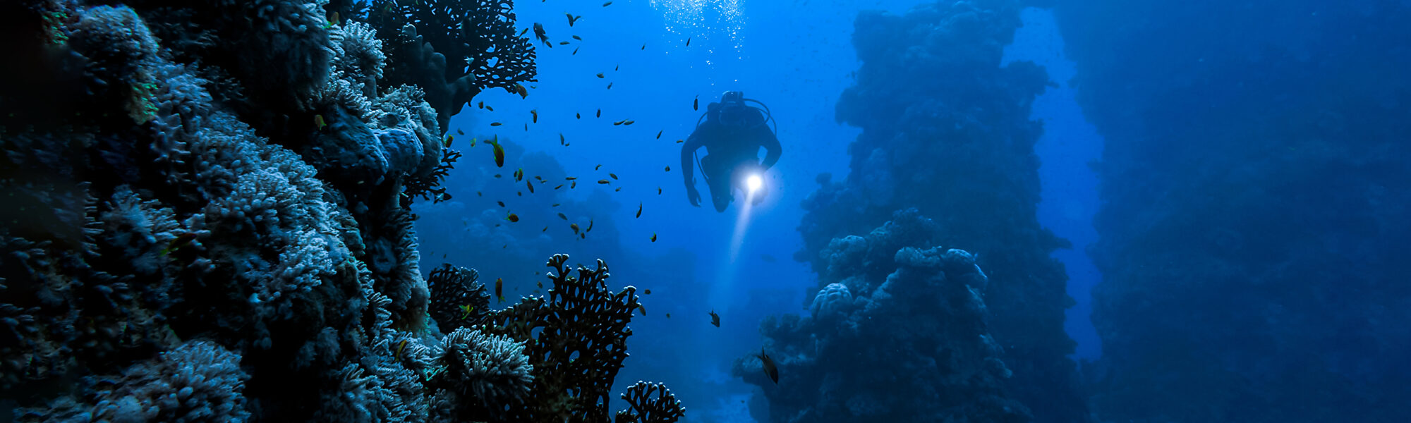 Tre motivi per cui il tuo prossimo corso dovrebbe essere la specialità Deep Diver