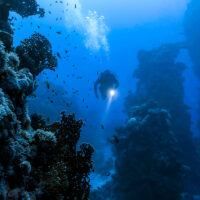 PADI Deep Diver Exploring a deep reef