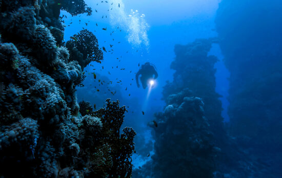 PADI Deep Diver Exploring a deep reef
