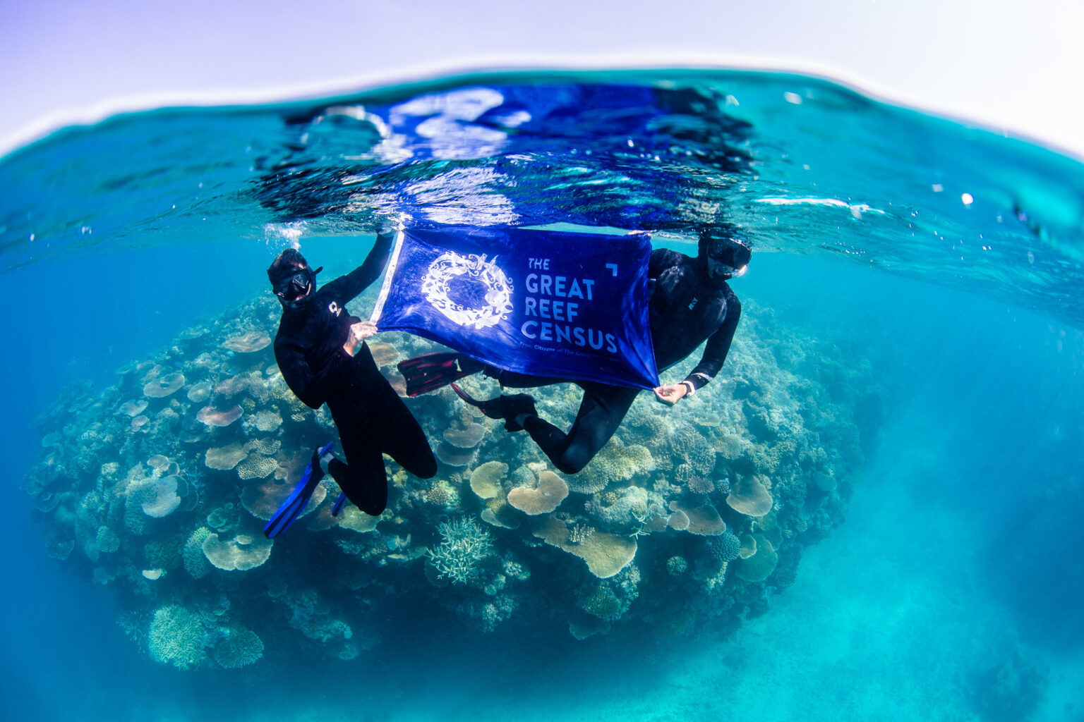 How Your Screen Time Can Help Save the Great Barrier Reef