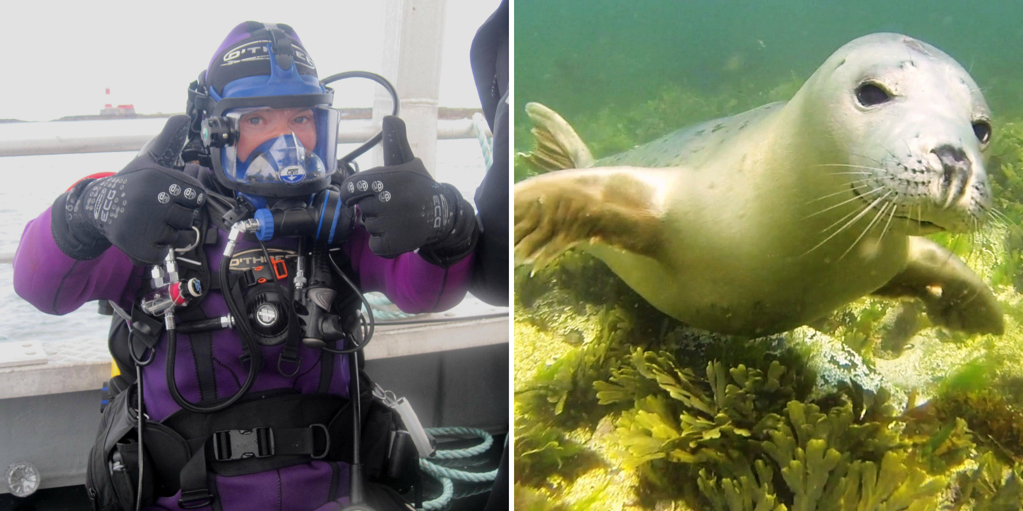 Miranda Krestovnikoff dives with grey seals in the UK