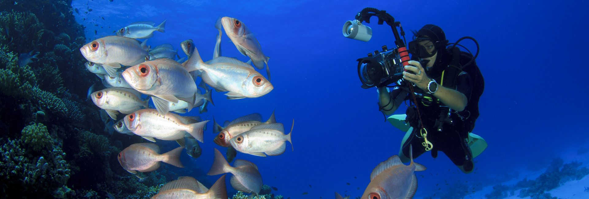 5 Best Underwater Photography Tips