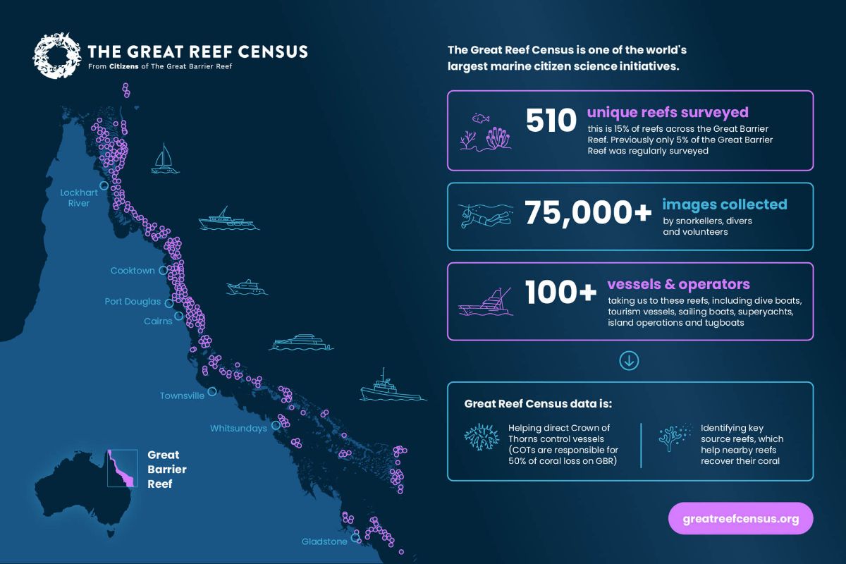 great reef census facts and figures pdf