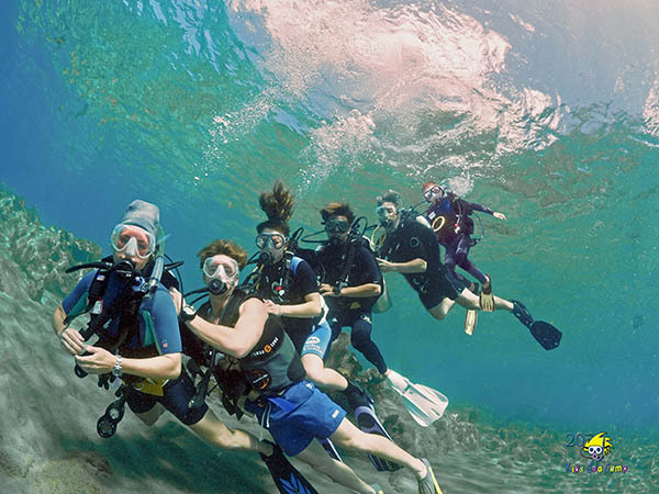 A family of divers enjoy a dive together
