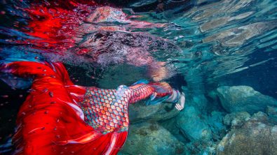 Mermaid swimming through water past rocks