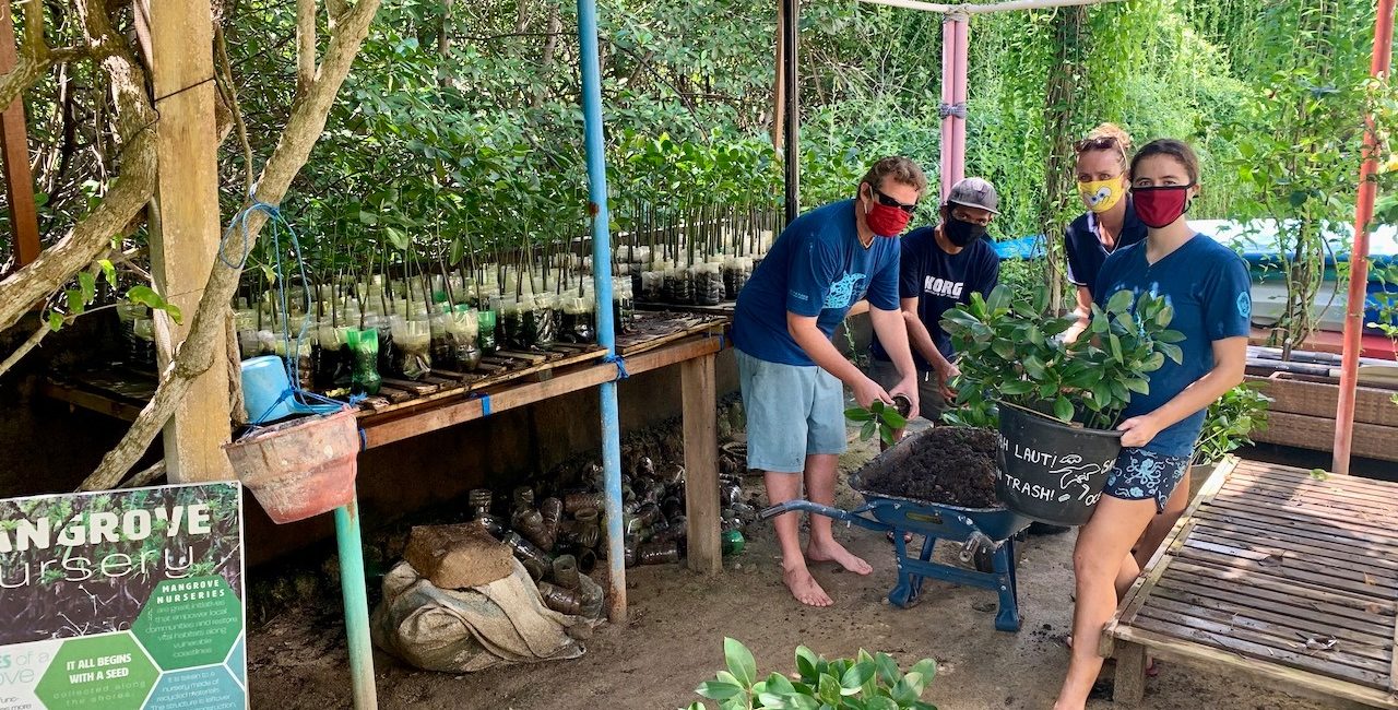 Making a Difference with Mangroves