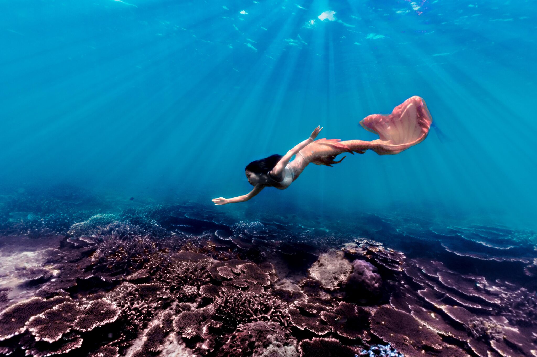 Mermaid over coral