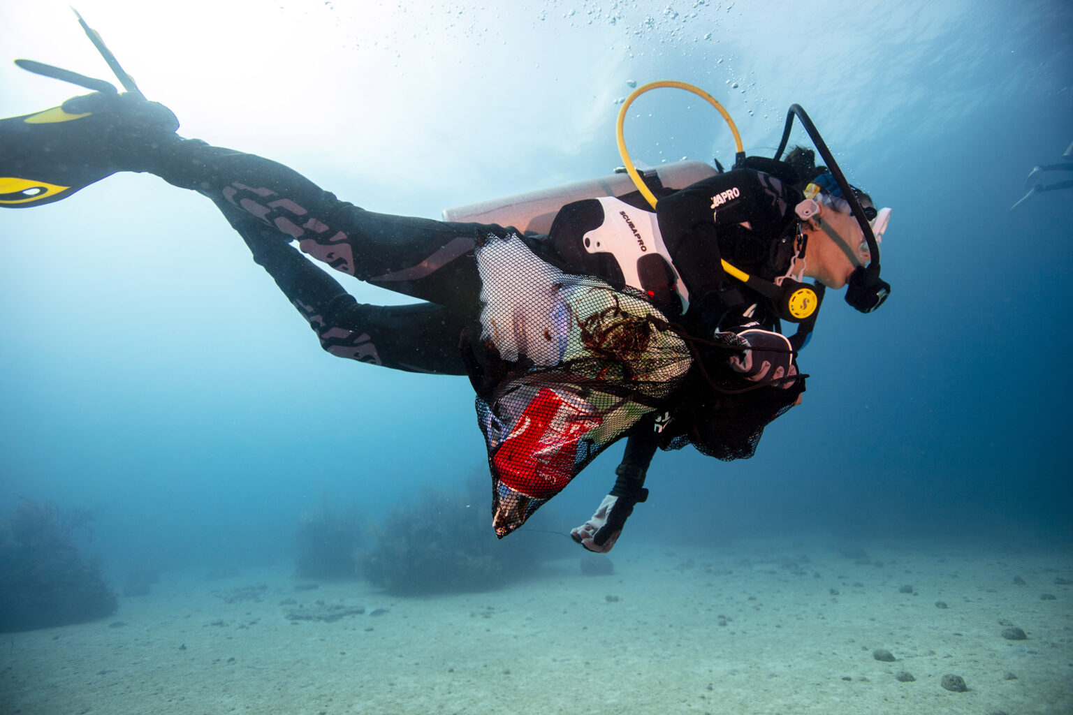 How to Get Back to Scuba Diving After Pregnancy
