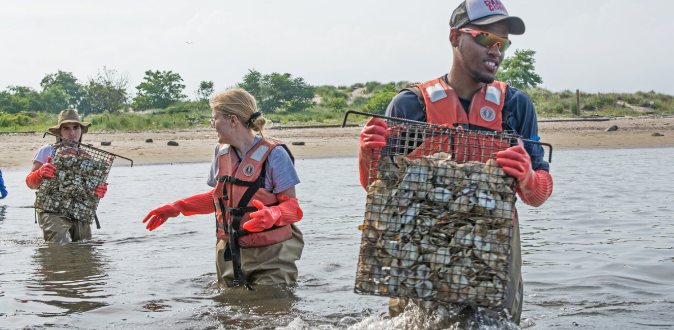 Gabriel Taliaferrow: Restoring & Appreciating New York’s Natural Ecosystems