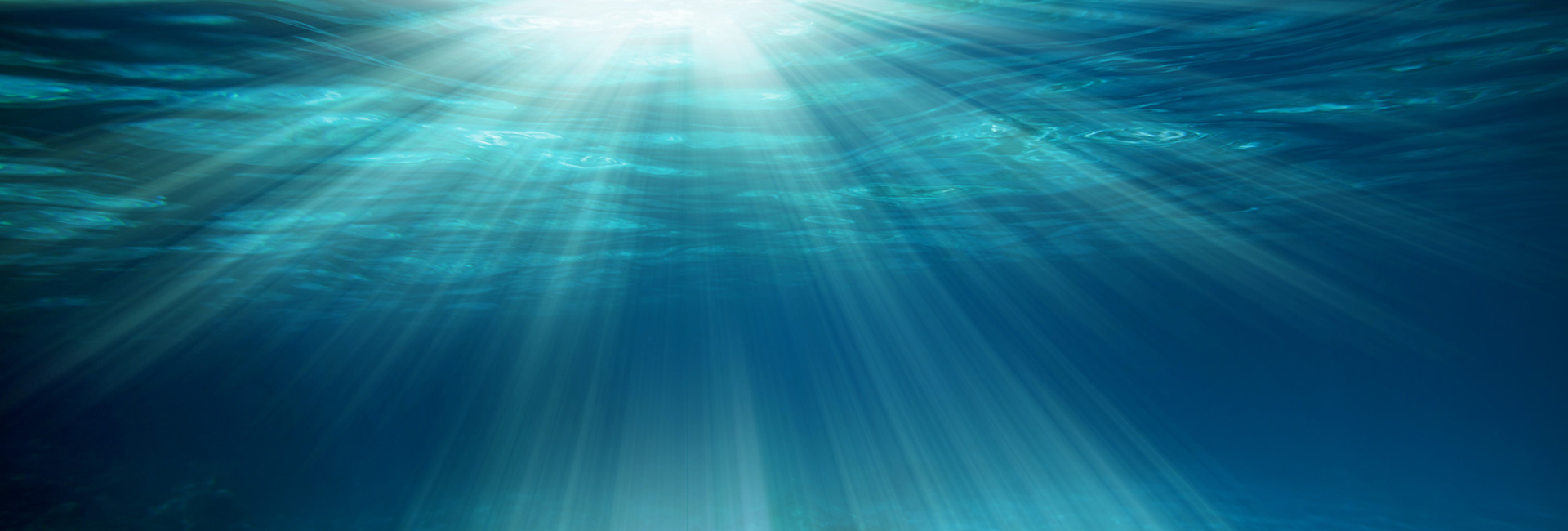 Diving Physics: The Science Behind Your Underwater Adventures