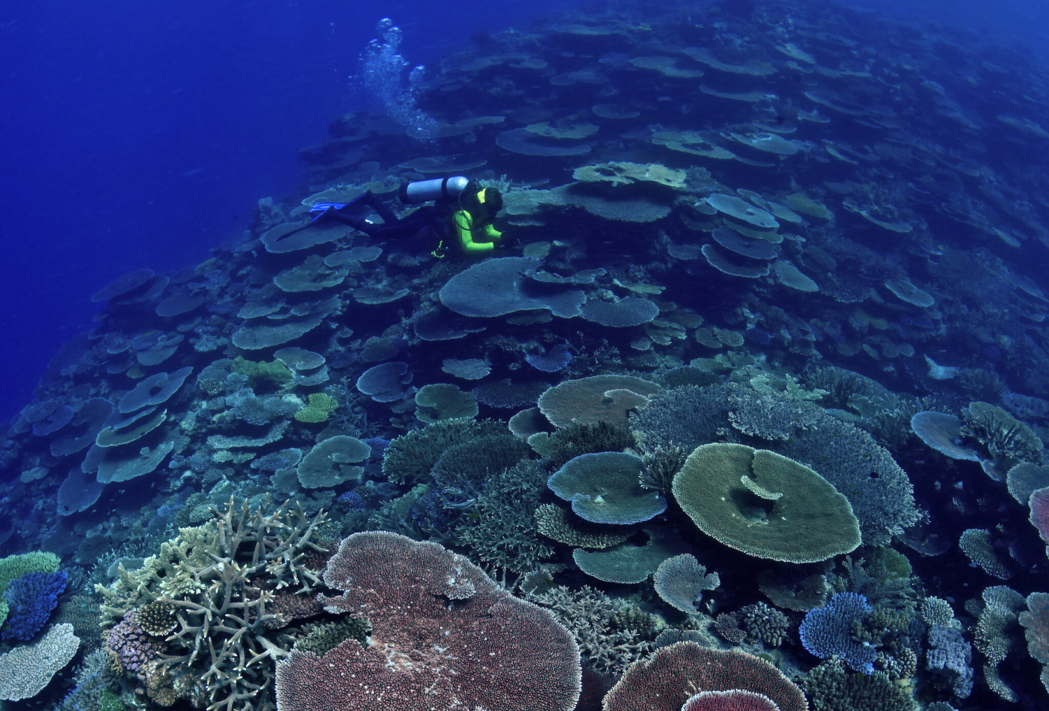 Top 10 Hidden Dive Sites to Explore on the Great Barrier Reef