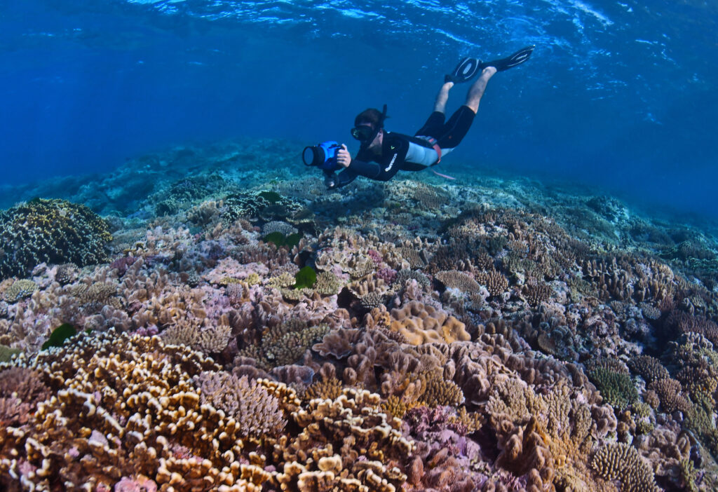 Top Ten Lesser-Known Dive Sites To Explore On The Great Barrier Reef