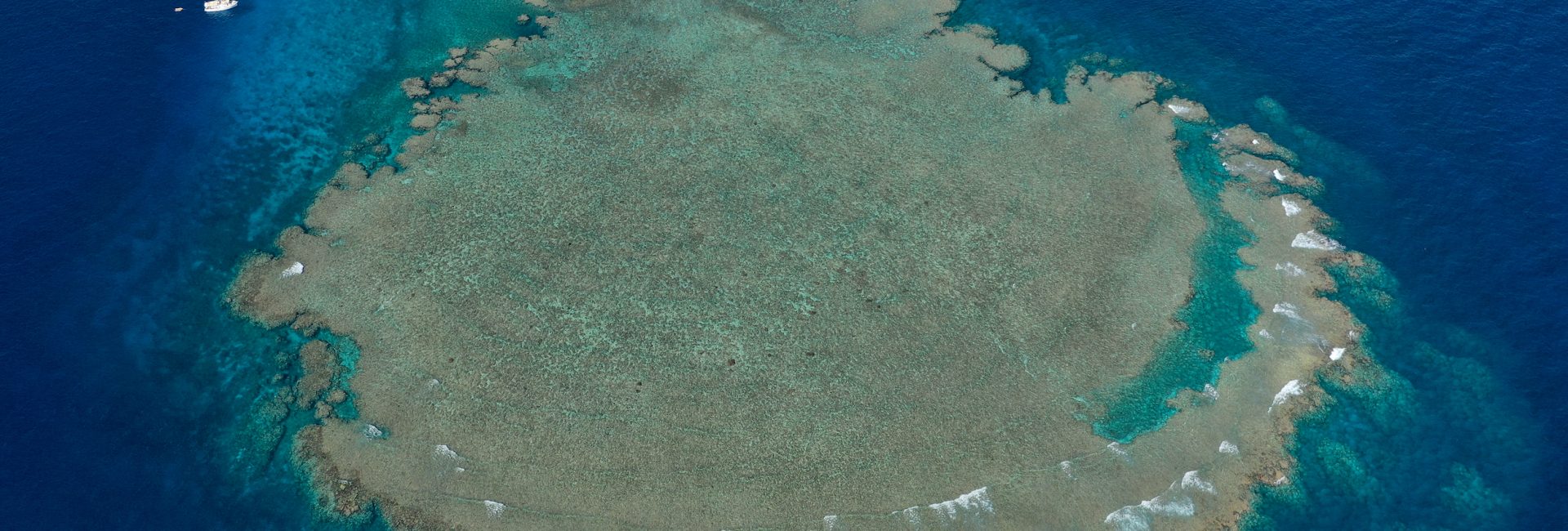 Top 10 Hidden Dive Sites to Explore on the Great Barrier Reef
