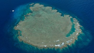 Top 10 Hidden Dive Sites to Explore on the Great Barrier Reef