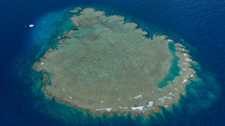 Top 10 Hidden Dive Sites to Explore on the Great Barrier Reef