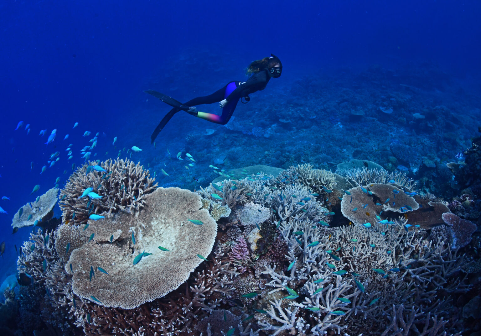 Top Ten Lesser-Known Dive Sites to Explore on the Great Barrier Reef