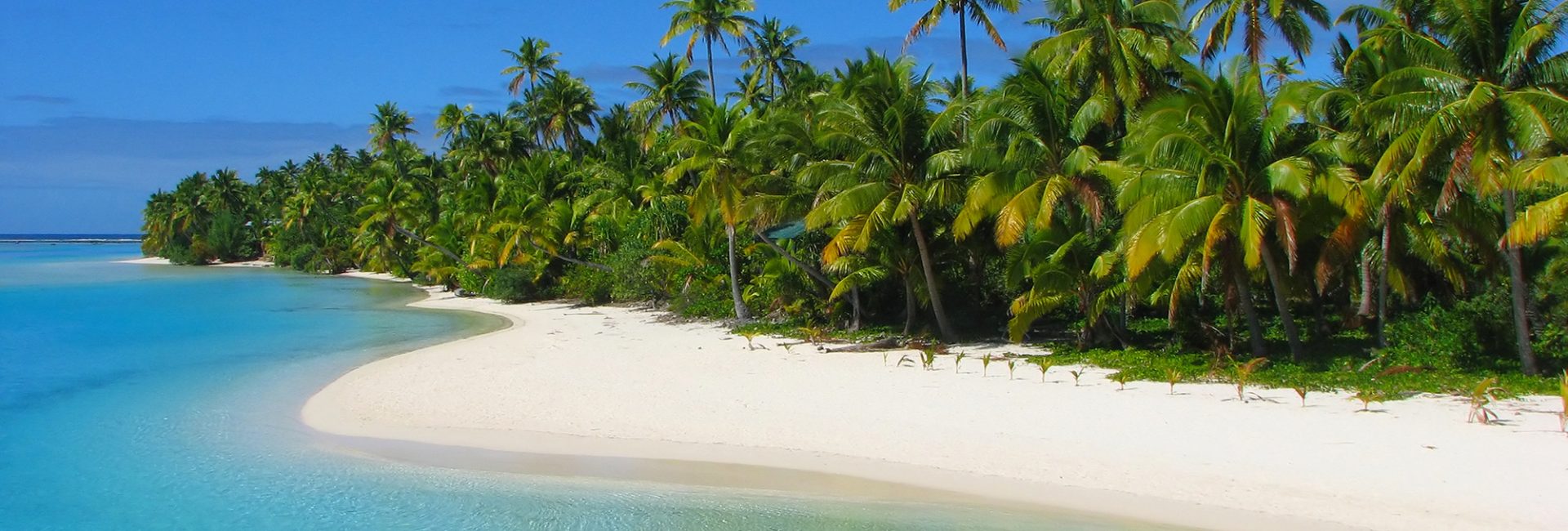 Education Through Scuba Diving in the Cook Islands
