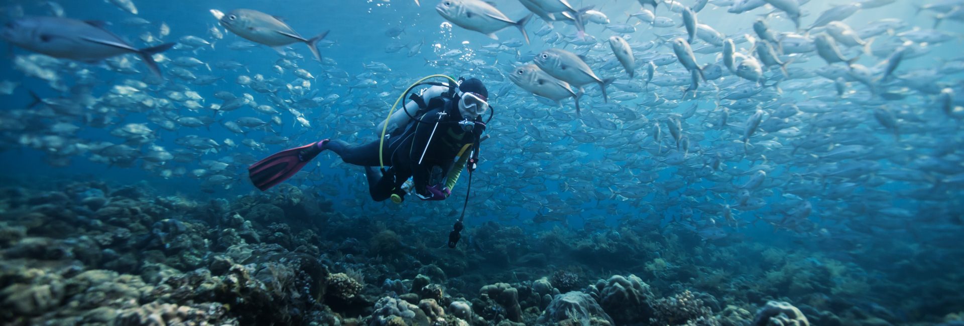 What is Adopt a Dive Site®?