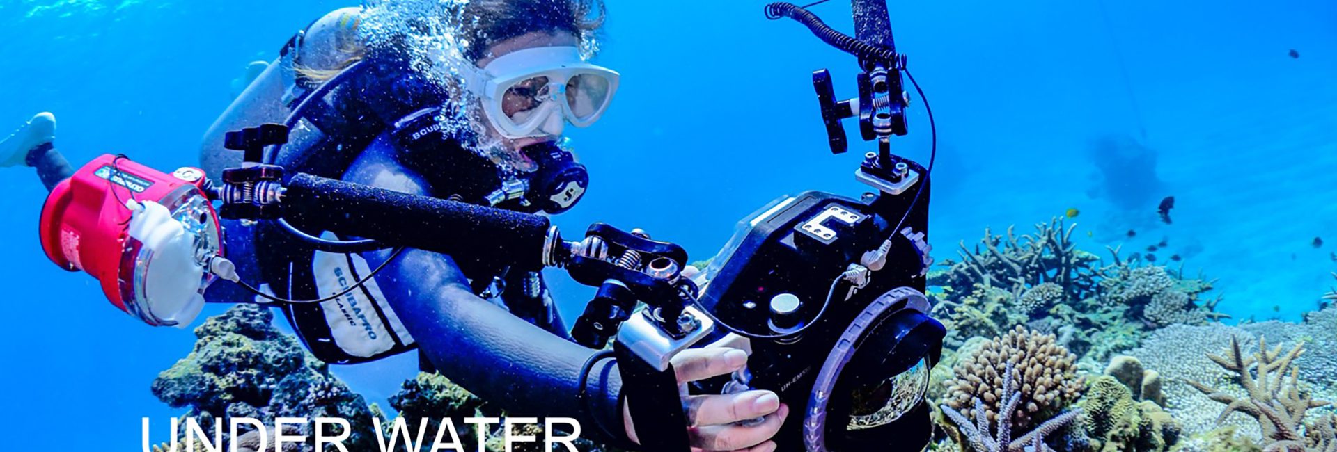 UNDER WATER PHOTOGRAPHERS