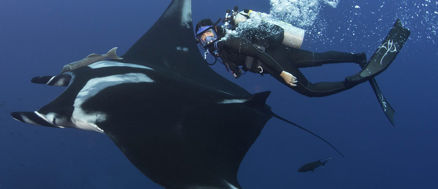 Diving into Conservation with the Queen of Mantas