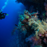 How deep can you scuba dive?