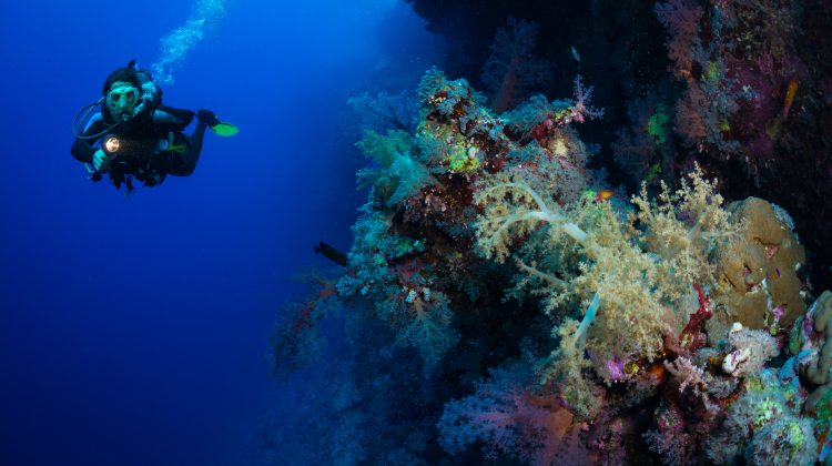How deep can you scuba dive?