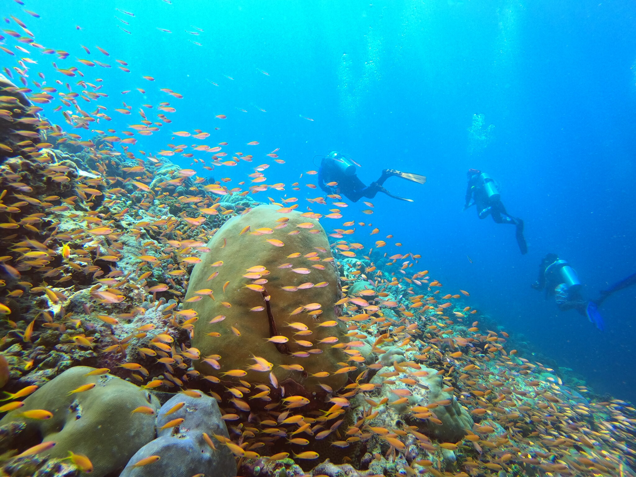 padi instructor in the Maldives