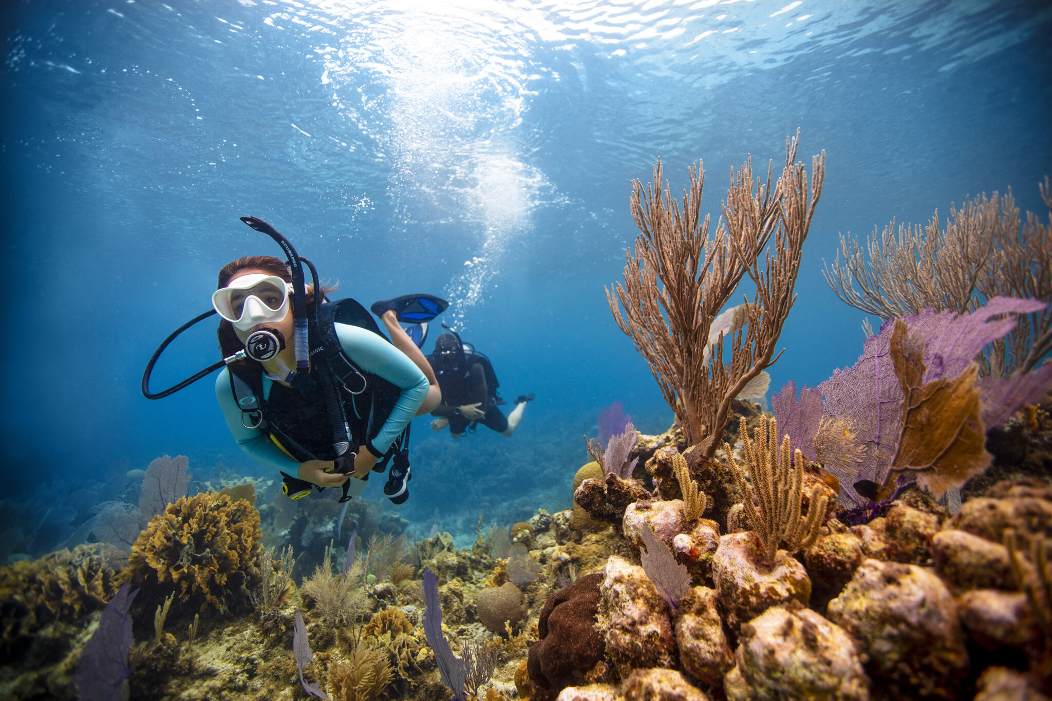 Two scuba divers underwater, enjoying an activity which raises an important question: is it correct to say dived or dove?
