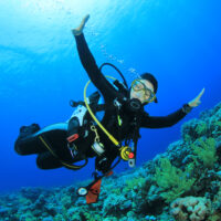 8 Scuba Diving Jobs You Might Not Have Considered