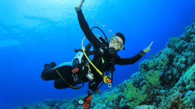 8 Scuba Diving Jobs You Might Not Have Considered