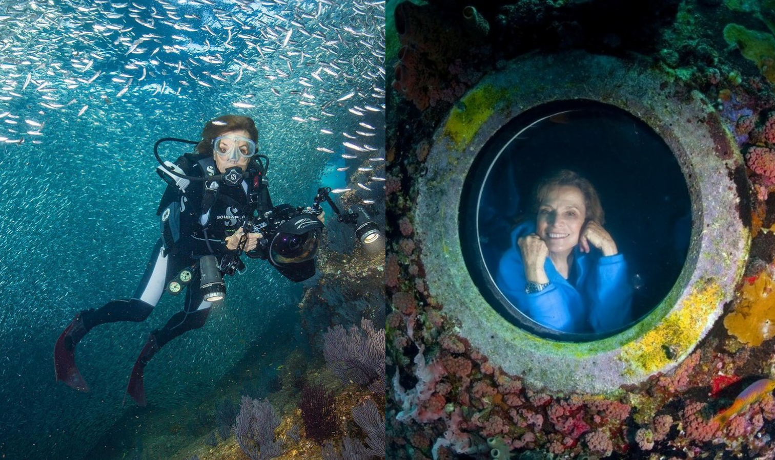 SylviaEarle_MissionBlue_ JamesKetchum_KipEvans - History of Scuba Diving