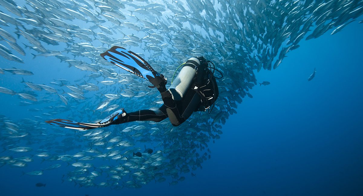 Siete destinos de buceo que puedes visitar en estos momentos