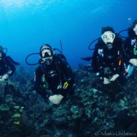 Parents and kids scuba diving