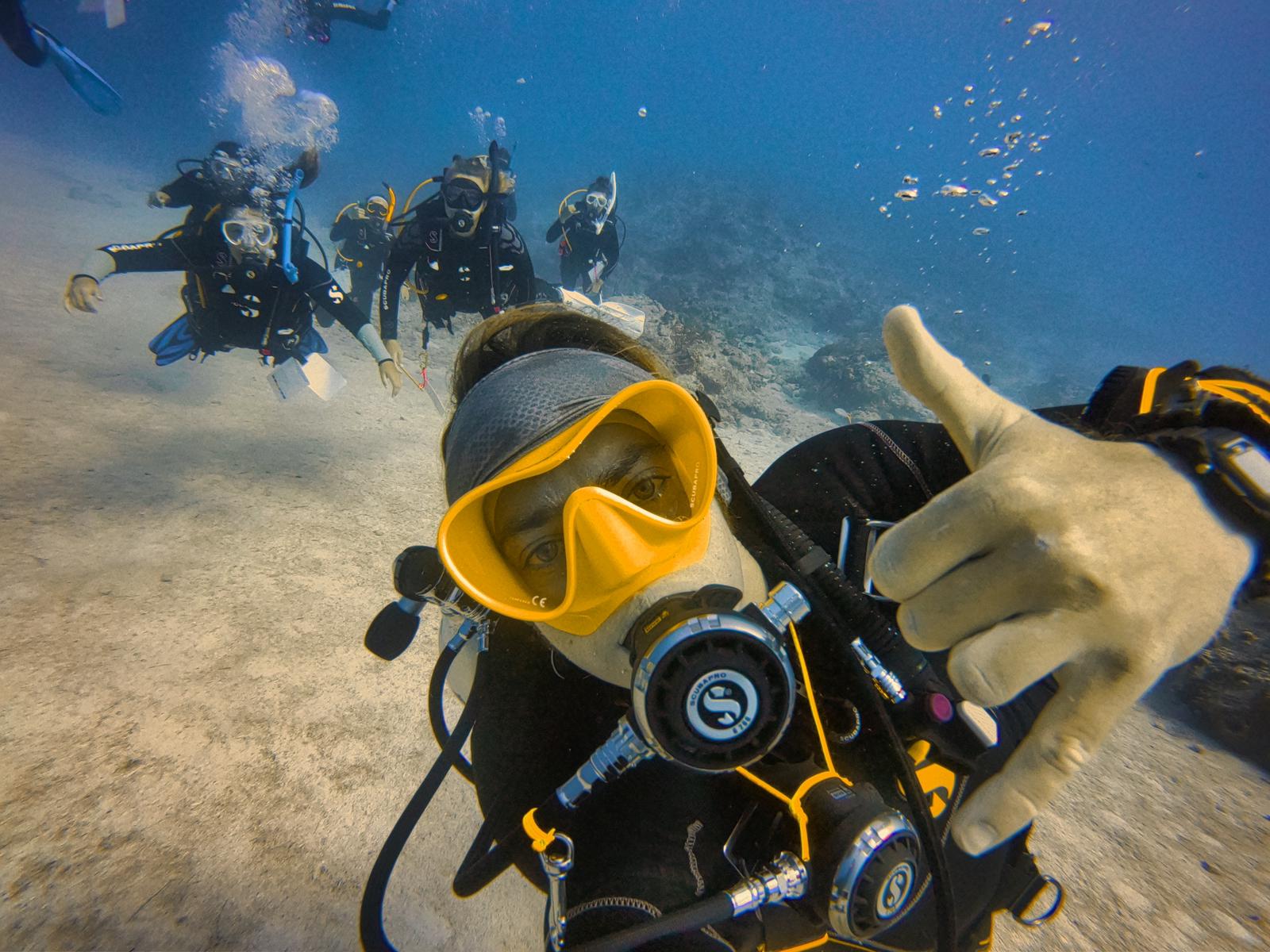 Professional Diving Programs for College Students