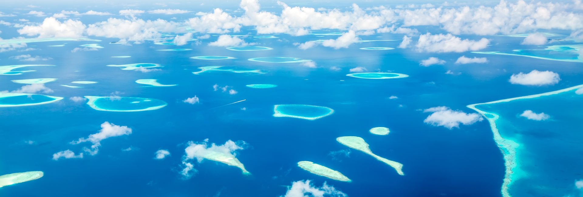 7 Reasons Why You Should Complete the PADI Instructor Course in the Maldives & Work in Paradise