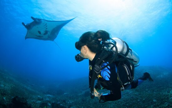 Diver looking at Manta Ray