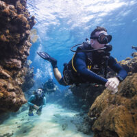 Divemaster - PADI Pro - Scuba Divers - Topside - Beach