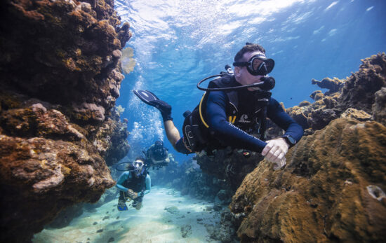 A divemaster leads divers through an underwater canyon