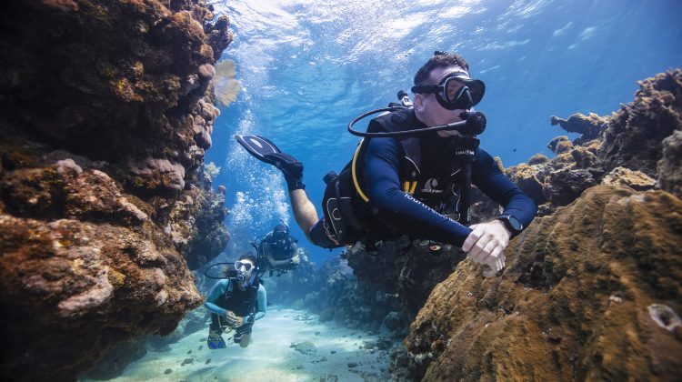 A divemaster leads divers through an underwater canyon