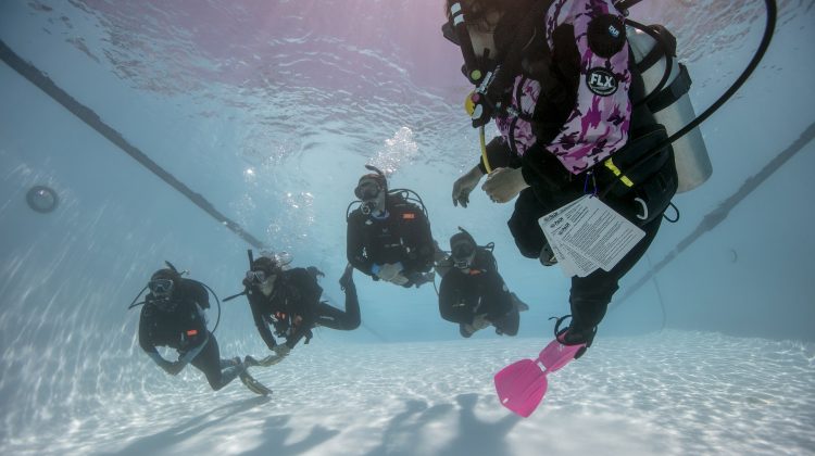 An instructor leads her class in an Open Water Diver Course.
