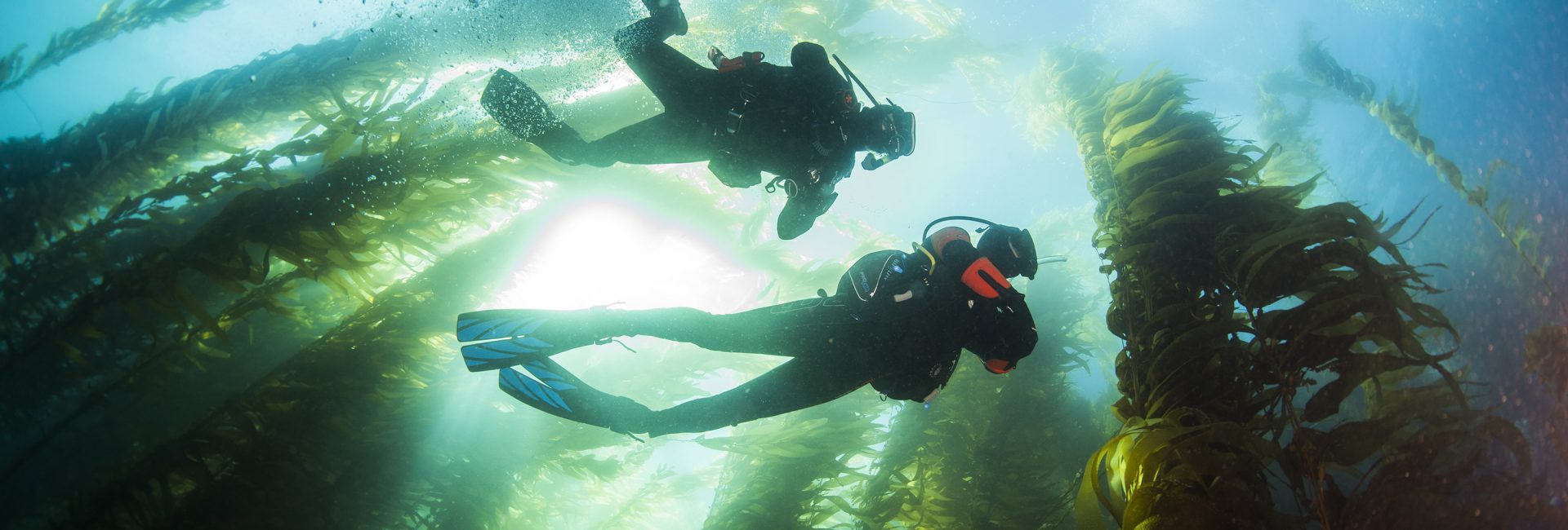 My First Dive After Certification