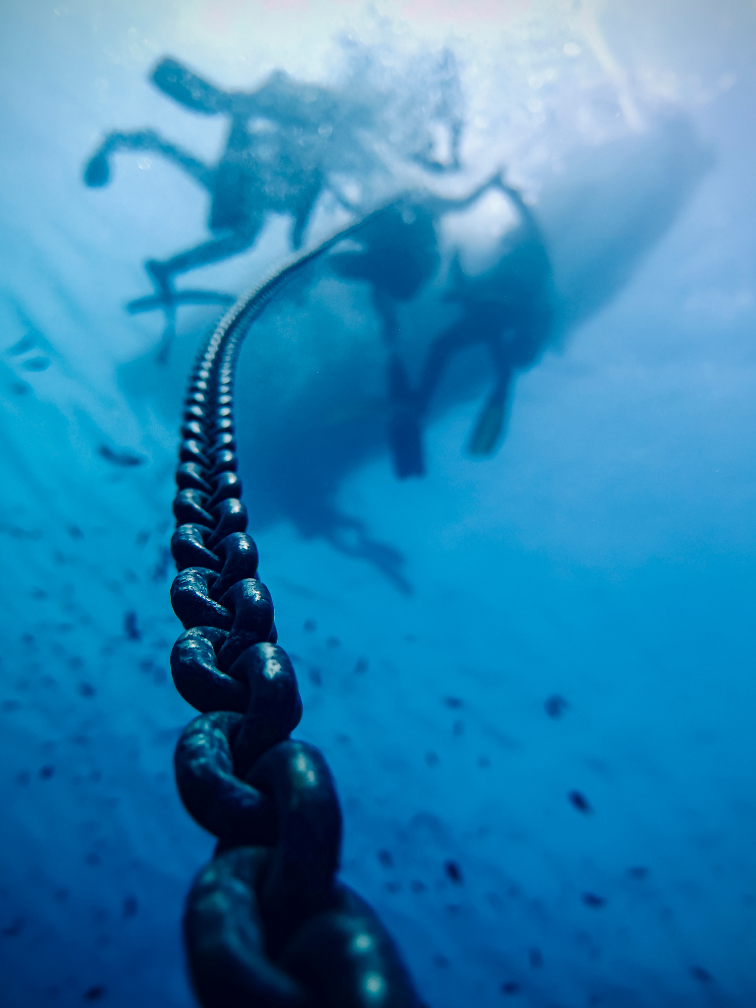 best underwater images descent on chain line
