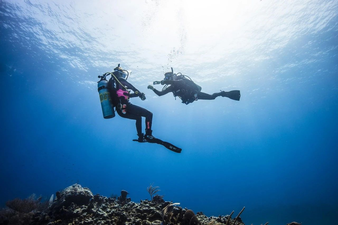 Why Take Your PADI Instructor Development Course in Australia