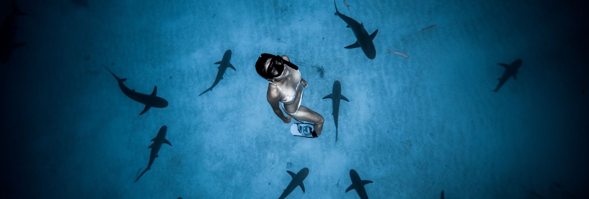 Celebrating World Oceans Day with Deep Messages from Five Renowned Conservationists
