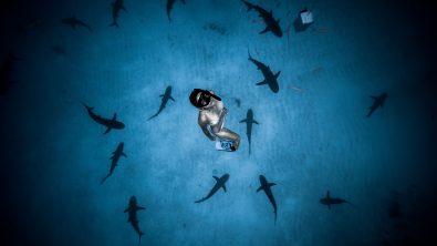 Madison stewart sharkgirlmadison