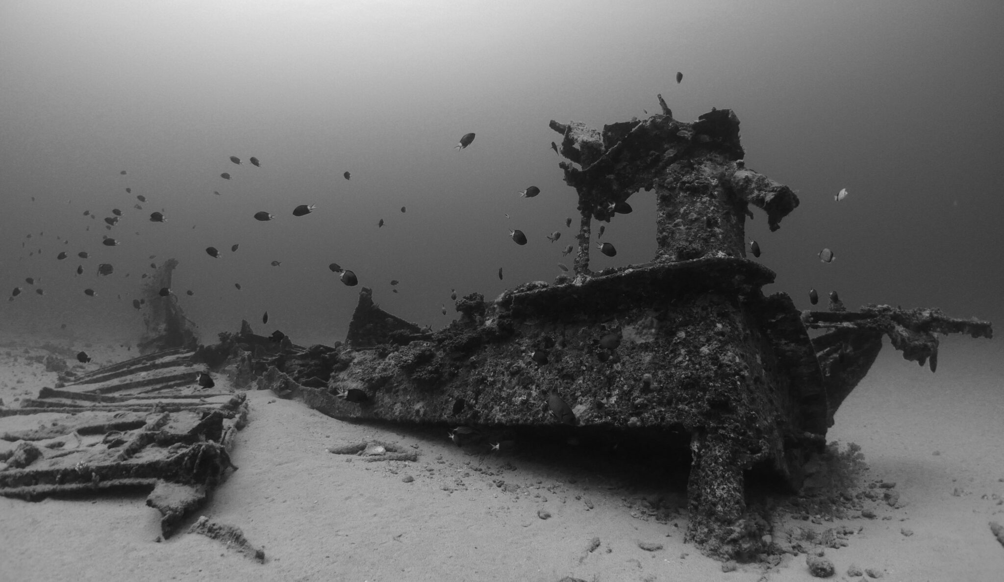 Mauritius wreck diving