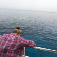 seasickness while diving
