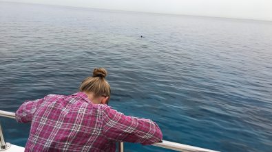 seasickness while diving