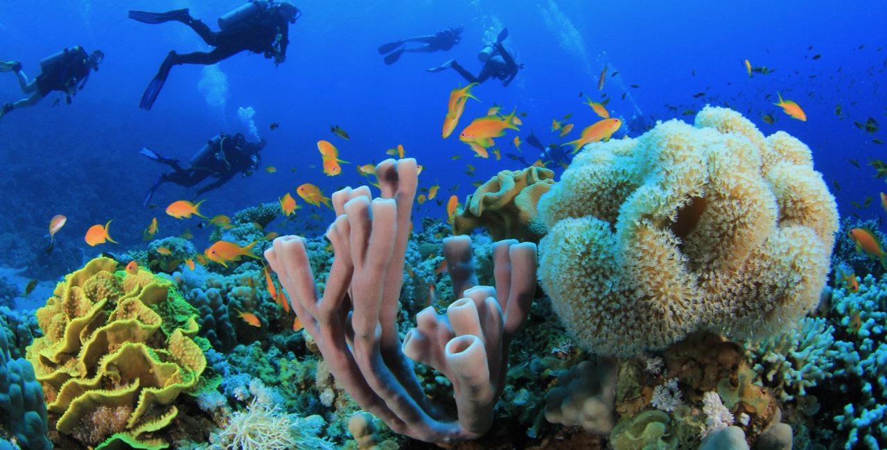 Undiscovered Egypt – Diving in Hurghada