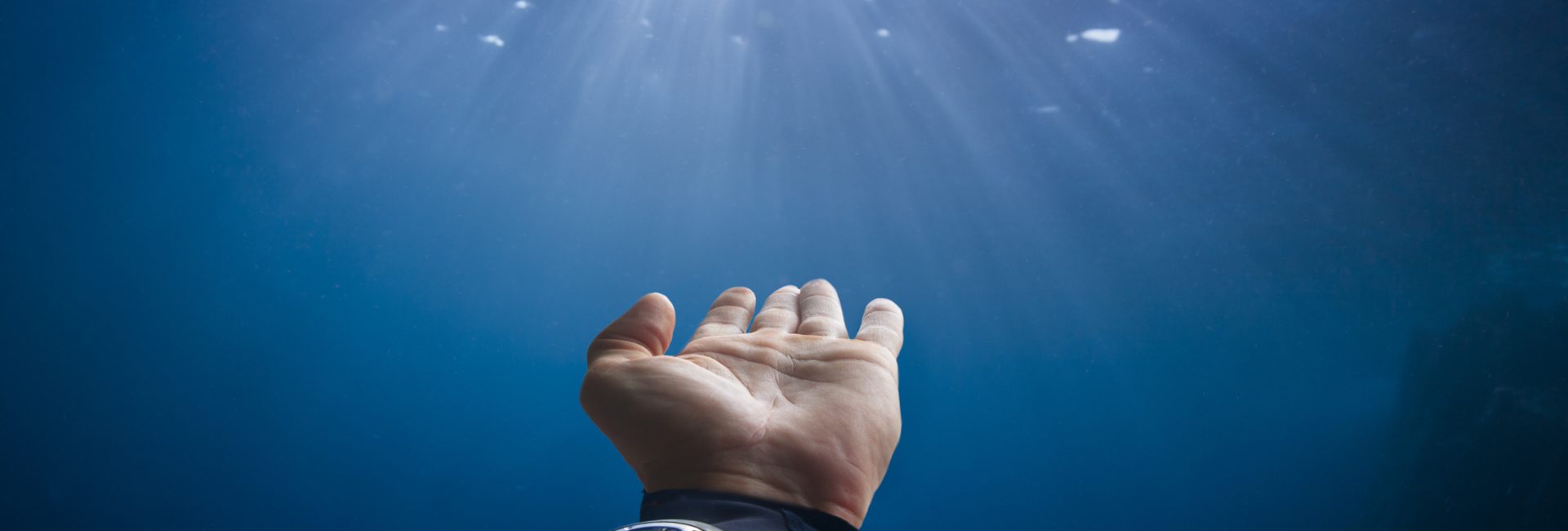 Marine Life Hand Signals for Underwater Communication